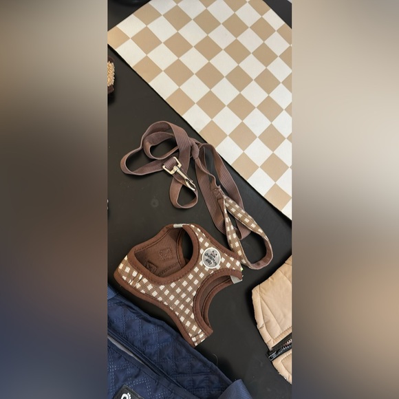 Puppy Supplies/Accessories Bundle - Picture 4 of 10